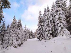 Apartment Harrachov - Riesengebirge 2400 v zime