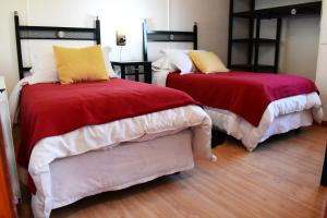 Легло или легла в стая в Altos de Tolhuin