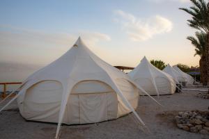Příroda nedaleko luxury tent
