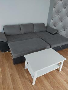 a couch and a table in a living room at Apartament Family in Tarnowskie Góry