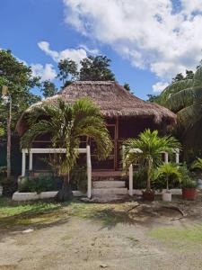 una casa con techo de paja y 2 palmeras en Paradise Ranch en Cozumel