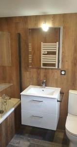 a bathroom with a sink and a toilet and a mirror at Séjour en amoureux avec jacuzzi et sauna in Balbigny