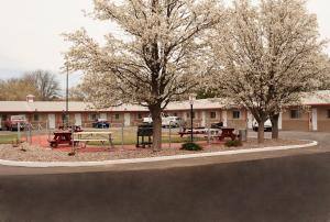 a park with picnic tables and trees in front of a building at Budget Inn & Suites Colby in Colby +7 photos