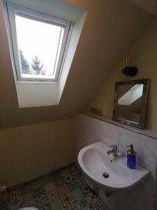 ein Badezimmer mit einem Waschbecken, einem Fenster und einem Spiegel in der Unterkunft Haus Lupo am Kanal in Castrop-Rauxel