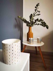 une table avec un vase et une table avec une plante dans l'établissement Appartement calme en hypercentre, à Dijon