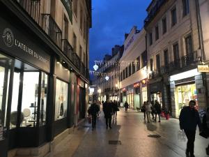 Un groupe de personnes marchant dans une rue la nuit dans l'établissement Appartement calme en hypercentre, à Dijon