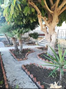 un jardin avec un arbre et une passerelle en pierre dans l'établissement VillAmar, à Alcamo Marina