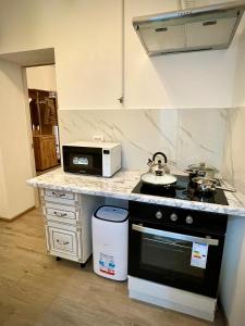 Η κουζίνα ή μικρή κουζίνα στο В САМОМУ ЦЕНТРІ МІСТА, ЗДАЮТЬСЯ В ПОДОБОВУ ОРЕНДУ, АПАРТАМЕНТИ ZONEofCOMFORT