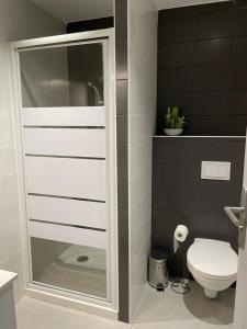 baño con aseo y puerta de ducha de cristal en Studio Serena - Vieux port de Bastia - Clim - Wifi, en Bastia