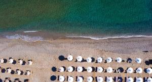 un gruppo di pinguini in piedi sulla spiaggia di Dyo Suites a Rethymno