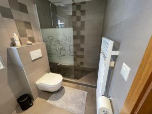 a small bathroom with a toilet and a shower at Appart sympa ! in Sonceboz +2 photos