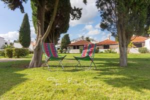 zwei Stühle im Gras neben Bäumen in der Unterkunft The Blue House, Pedras D'el Rei, Tavira in Tavira