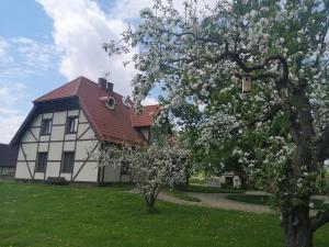 una gran casa blanca con un árbol delante en Hotel Senlīči, en Jelgava