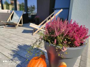 Zdjęcie z galerii obiektu New House Mazury w mieście Sorkwity