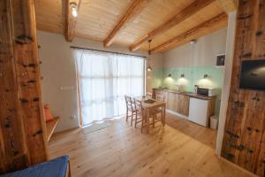 Kuchyň nebo kuchyňský kout v ubytování Apartment Ve Mlýně