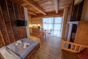 TV a/nebo společenská místnost v ubytování Apartment Ve Mlýně