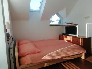 a small bedroom with a bed and a television at JULIJA 3 SUNNY APPARTMENT in Kranjska Gora