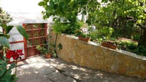 Vonkajšia záhrada v ubytovaní Cseresznyés apartman