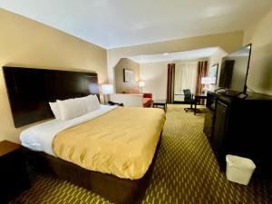 a hotel room with a large bed and a television at Quality Inn & Suites Pine Bluff AR in Pine Bluff