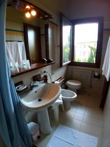a bathroom with a sink and a toilet and a mirror at Hotel Leon D'Oro in Pieve di Soligo