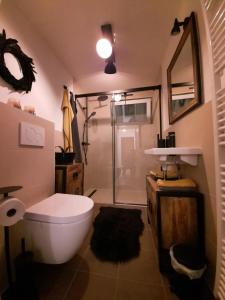 a bathroom with a toilet and a glass shower at Große Auszeit Eifel mit Sauna, Kamin und Terrasse in Nettersheim +26 photos
