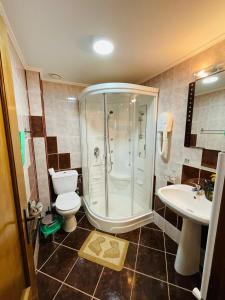 a bathroom with a shower and a toilet and a sink at Pensiunea Moeciu Casa Wiarusti in Moieciu de Sus +103 photos
