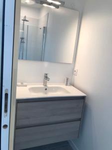 a bathroom with a sink and a mirror at FLEUR DE SEL logement de 21m2 avec prêt vélos, meublé Tourisme 2 étoiles, cuisine et sdb privées avec terrasse clôturée de 17m2 in Batz-sur-Mer