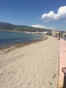 a beach with a bench next to the water at Çandarlı little sweet house in Dikili