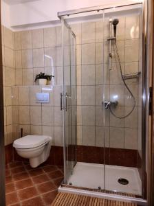 een badkamer met douche en toilet bij apartman Emili in Malinska +23 foto's