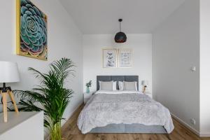 Un dormitorio blanco con una cama y una planta en Homewell Apartments Goplana en Poznan