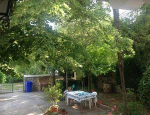 una mesa de picnic en un patio con un árbol en Apartmani Paron Šime, en Seline