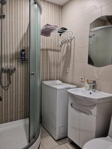 a bathroom with a shower and a sink and a toilet at Новая студия на пр. Соборном in Zaporozhye