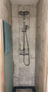 een douche in een badkamer met een glazen deur bij MEET - AIRBUS - TRAMWAY in Aussonne