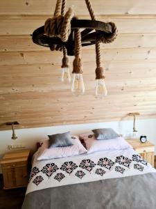Schlafzimmer mit einem Bett und einem Kronleuchter in der Unterkunft Apartament w Jałowcach in Gronków