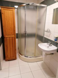 W łazience znajduje się prysznic i umywalka. w obiekcie RESTAURACJA & PENSJONAT SZAMANKO w mieście Hrubieszów