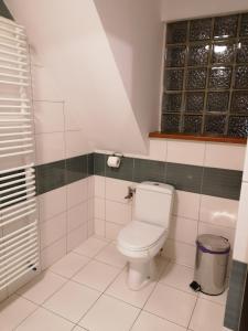 ein Bad mit einem WC und einem Waschbecken in der Unterkunft RESTAURACJA & PENSJONAT SZAMANKO in Hrubieszów