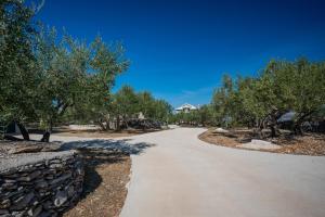 Fotografie z fotogalerie ubytování Olive Park House Brač v destinaci Povlja