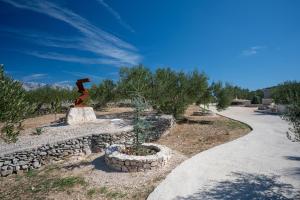 Fotografie z fotogalerie ubytování Olive Park House Brač v destinaci Povlja
