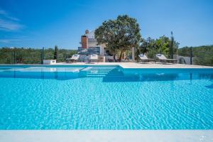 Bazén v ubytování Olive Park House Brač nebo v jeho okolí
