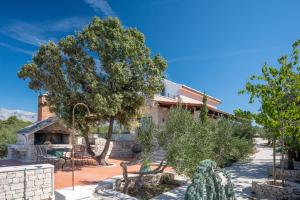 Zahrada ubytování Olive Park House Brač
