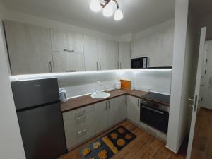 Kuchyňa alebo kuchynka v ubytovaní Apartman Kristal