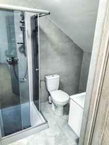 łazienka z toaletą i kabiną prysznicową w obiekcie Agroturystyka u Aleksa w mieście Krajno-Zagórze