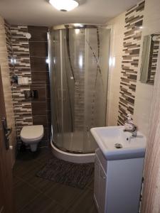 a bathroom with a shower and a toilet and a sink at Domek Widokówka in Kościelisko