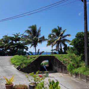 un pont en pierre sur une route bordée de palmiers dans l'établissement LA PERLE MARINE, à Le Prêcheur