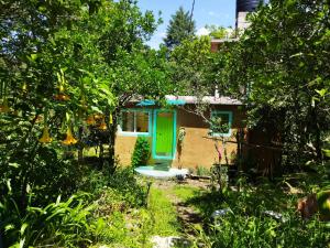 una pequeña casa con una puerta verde en el patio en Casa Ecológica, en Tepoztlán