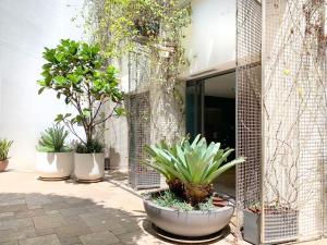 Um jardim em Miss Baker's Boutique Accommodation Bondi