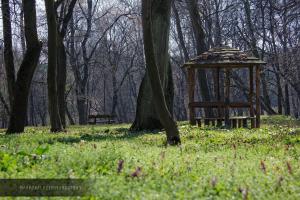 Fotografie z fotogalerie ubytování Villa Martini - apartments & rooms v destinaci Vukovar