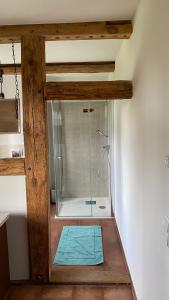 a shower with a glass door in a bathroom at Pension up´n Dörp in Plattenburg +47 photos