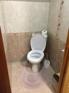 a bathroom with a toilet with a purple rug at У Ондраша in Yasinya +39 photos