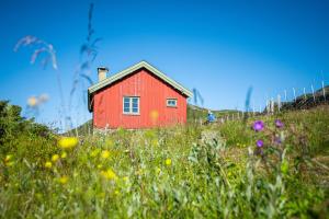 Gallery image of Olestølen in Skammestein